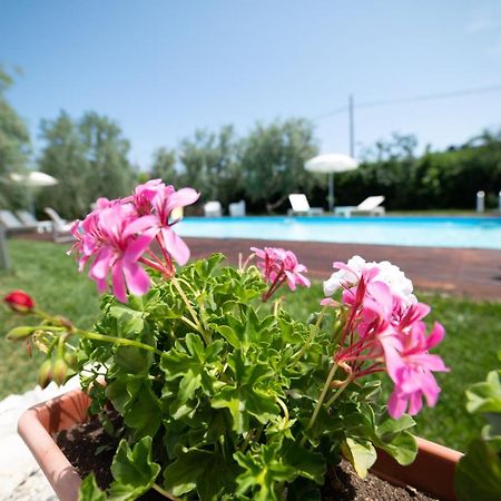 I Sapori Del Gargano Guest House Vieste Exterior photo