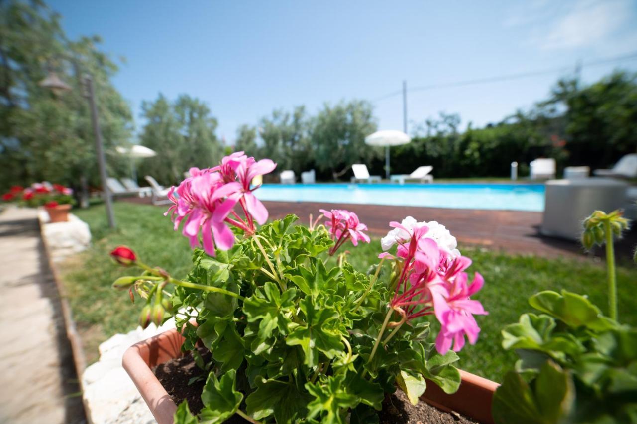 I Sapori Del Gargano Guest House Vieste Exterior photo